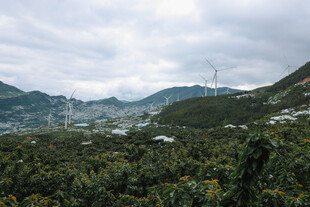 山间绿意与远处风车景观
