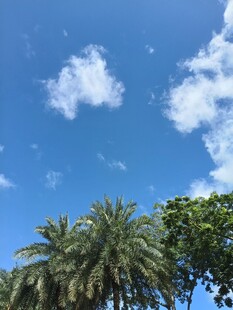 蓝天绿树风景美