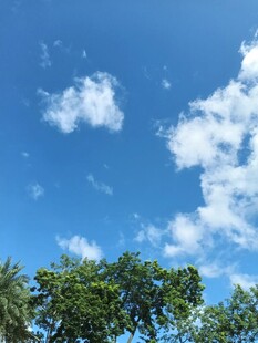 蓝天绿树
