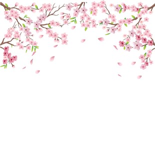 樱花装饰边框