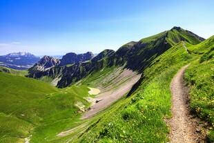 山间小径邂逅绿野美景