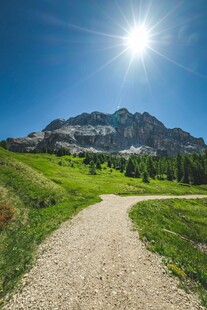 山间阳光小路绿意盎然