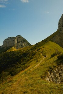 绿意盎然的山坡