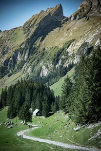 山间蜿蜒小路与葱郁山林