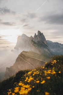 山间黄花伴巍峨壮丽山峰