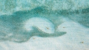 抽象绘画