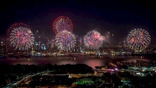 城市夜空绚烂烟花绽放