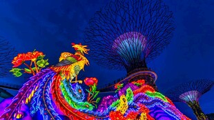 绚丽多彩的凤凰灯光秀
