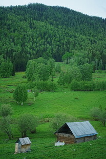 山间绿野中的质朴小屋