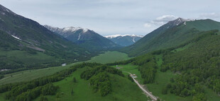 山间绿野公路风景