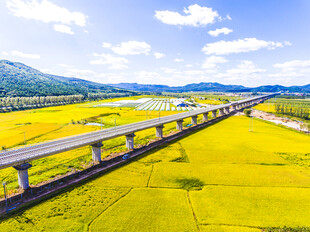 田野上的高架桥风景