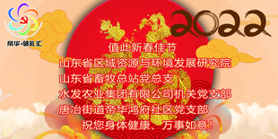 龙年喜庆宣传画面