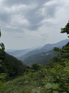 山间绿意云雾缭绕美景