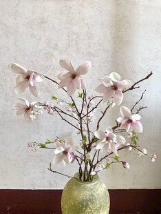 花瓶中绽放的粉嫩玉兰花