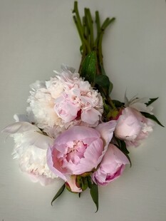粉色柔美芍药花束
