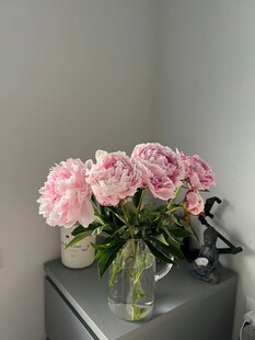 粉色鲜花装点精致小角落