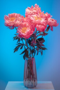 粉色玫瑰插于透明花瓶中