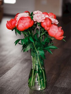 花瓶中的鲜艳芍药花