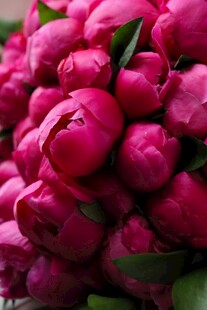 艳丽玫红牡丹花束