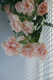 粉色玫瑰插于网格花瓶中
