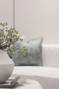 素雅花瓶绿植装点室内
