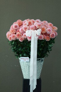 粉色玫瑰篮花优雅绽放