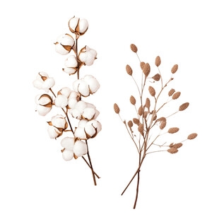 棉花干花装饰素材