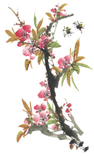 水墨桃花枝