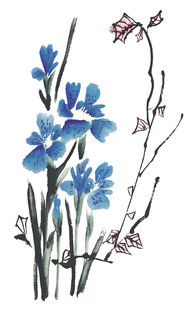 蓝色花卉水彩手绘插画