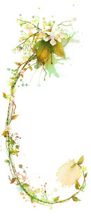 藤蔓花朵装饰边框