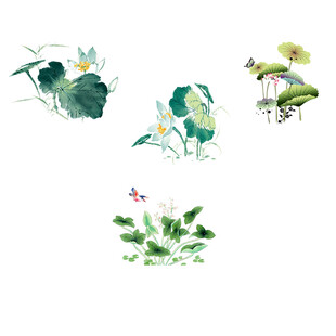 水墨风荷花昆虫插画