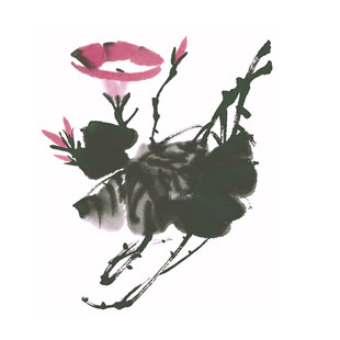 水墨牵牛花写意画