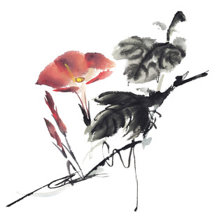 水墨牵牛花图