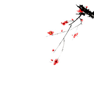 一枝红梅俏立