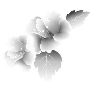 黑白花卉图案