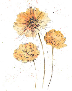 手绘黄色花卉插画