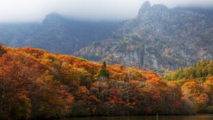 秋日山林美景
