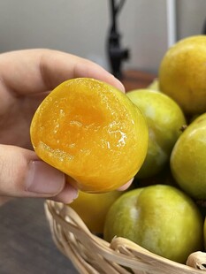水果集锦