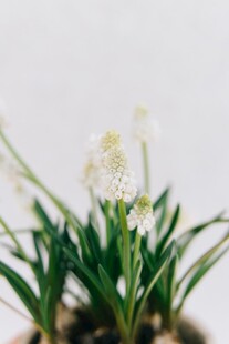 相机拍摄素材