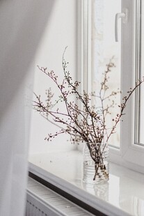 花瓶花枝