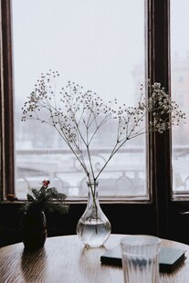 窗边简约插花
