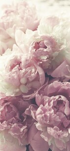 浪漫粉色牡丹花束