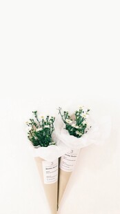 两束绿植花束清新雅致