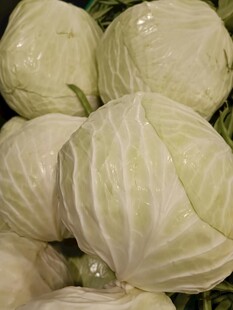 新鲜卷心菜堆叠