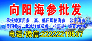 海参批发