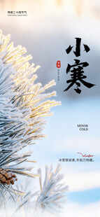 小寒时节霜花满枝