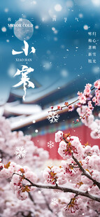 小寒时节绽放的美丽樱花