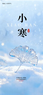 小寒节气云端银杏叶景象