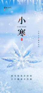 小寒节气唯美雪花海报