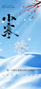 小寒节气海报展板